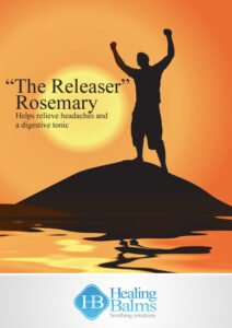 The Releaser - pic for website