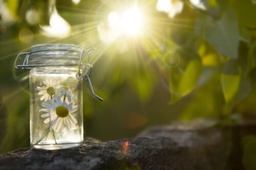 bach flower remedies