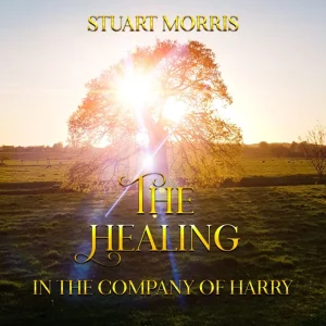 The Healing - Connect with your spiritual healer